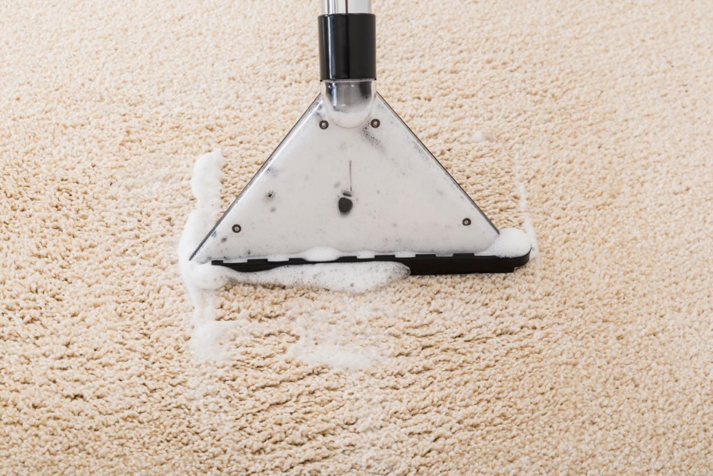 Randy's Carpet Cleaning and Restoration: Service Image-5 Randy's Carpet Cleaning and Restoration: Service Image-5
