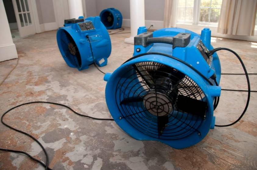 Randy's Carpet Cleaning and Restoration: Service Image-0 Randy's Carpet Cleaning and Restoration: Service Image-0